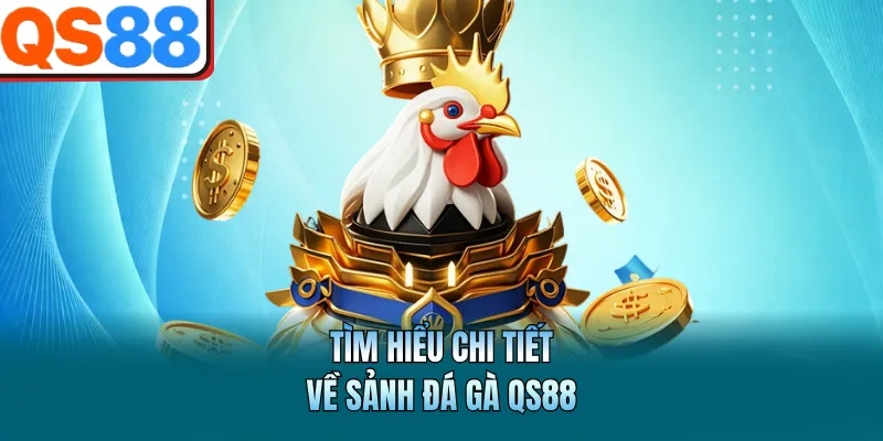 Tìm hiểu chi tiết về sảnh đá gà QS88